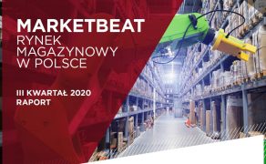 Sektor-magazynowy-odporny-na-pandemie-dlaProdukcji.pl