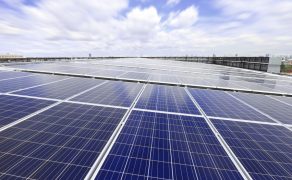 SUNEX-planuje-wejscie-na-rynek-zamowien-publicznych-Fot-1-dlaProdukcji.pl