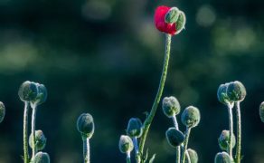 Co-CSR-ma-wspolnego-z-podejsciem-sustainability-dlaProdukcji.pl