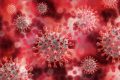 Jak-pandemia-wplynela-na-budownictwo-wielkopowierzchniowe-dlaProdukcji.pl