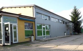 Ciekawa-promocja-firmy-Normazet-na-czas-Igrzysk-Olimpijskich-dlaProdukcji.pl