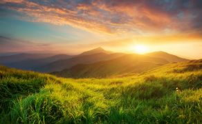 Celem-Cushman-Wakefield-zerowa-emisja-netto-do-2050-roku