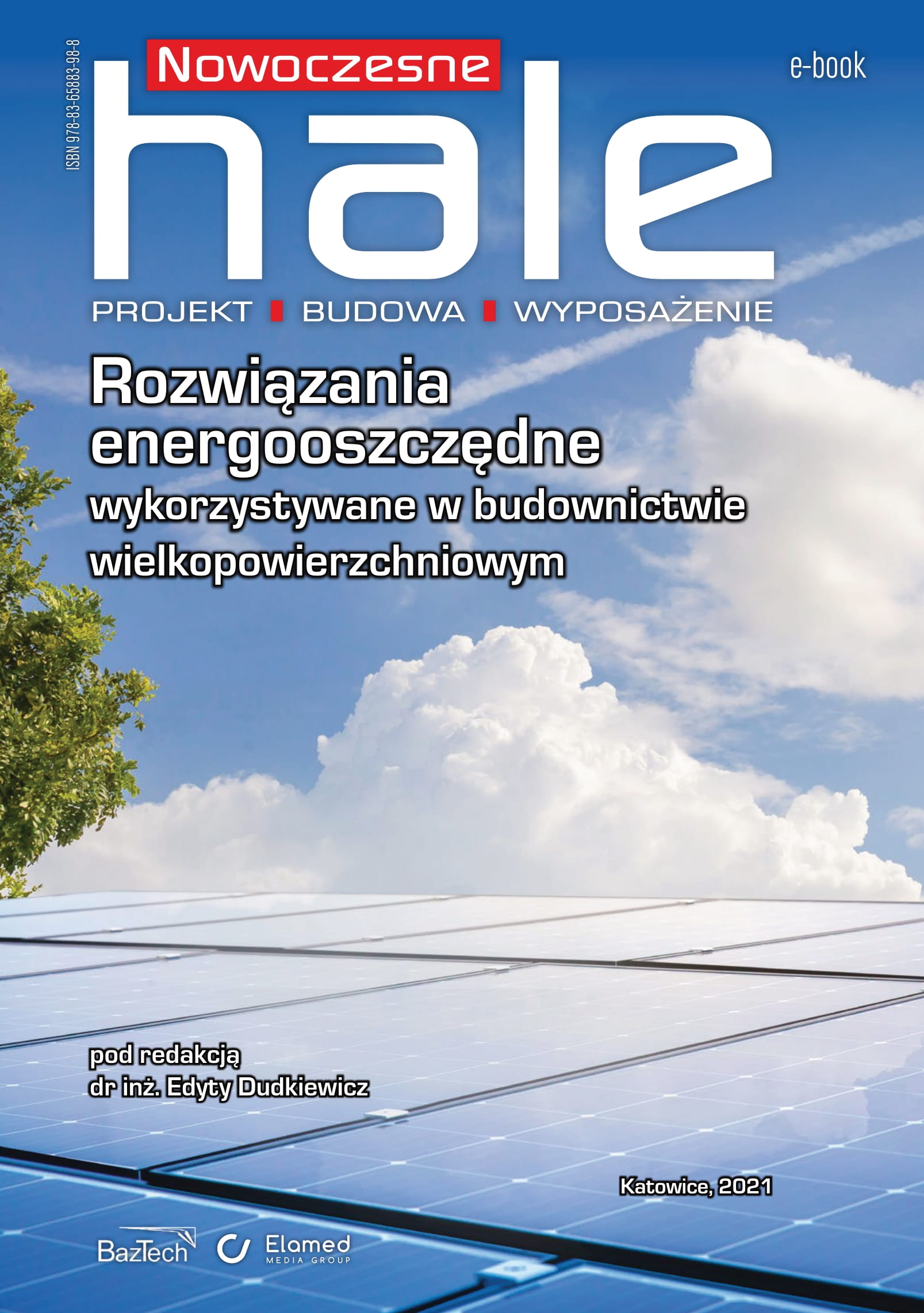 Rozwiązania energooszczędne wykorzystywane w budownictwie wielkopowierzchniowym (e-book)