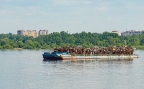 Czy-eksport-odpadow-bedzie-mozliwy-dlaProdukcji.pl