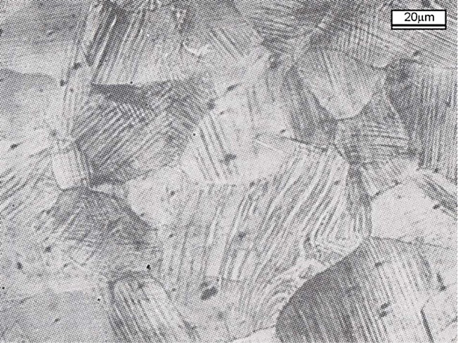 Charakterystyka staliwa stopowego wysokomanganowego