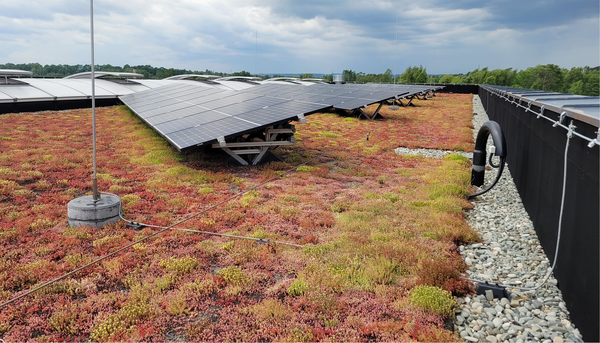 dachy-zielone-przepisy-stymulujace-rozwoj-branzy-w-polsce-fot-2